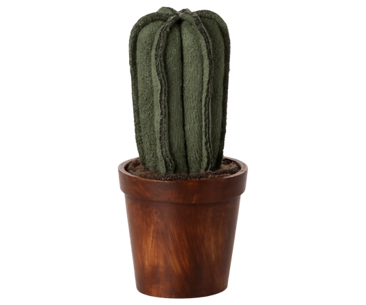 Flower pot with cactus