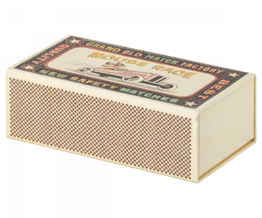 Big Sister Mouse in Box