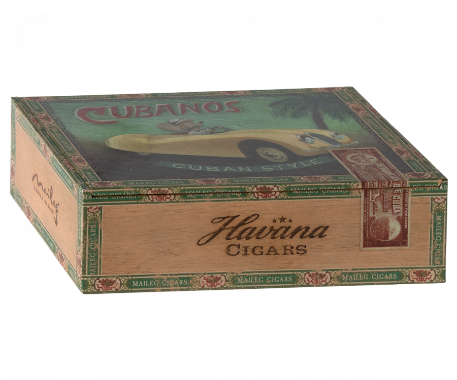 Grandma & Grandpa Mice in Cigarbox
