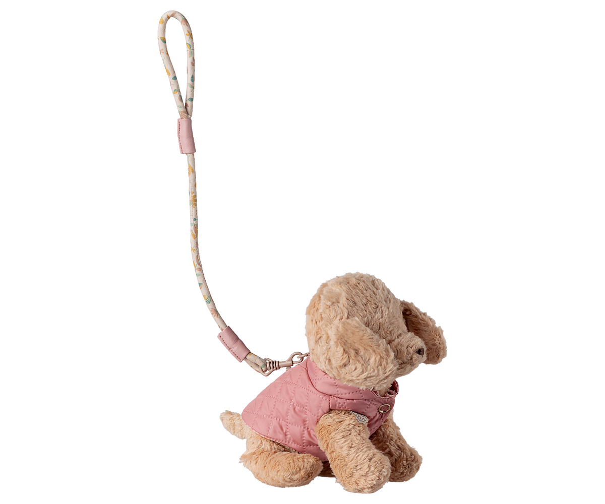 Pet supply, Harness and leash - Rose