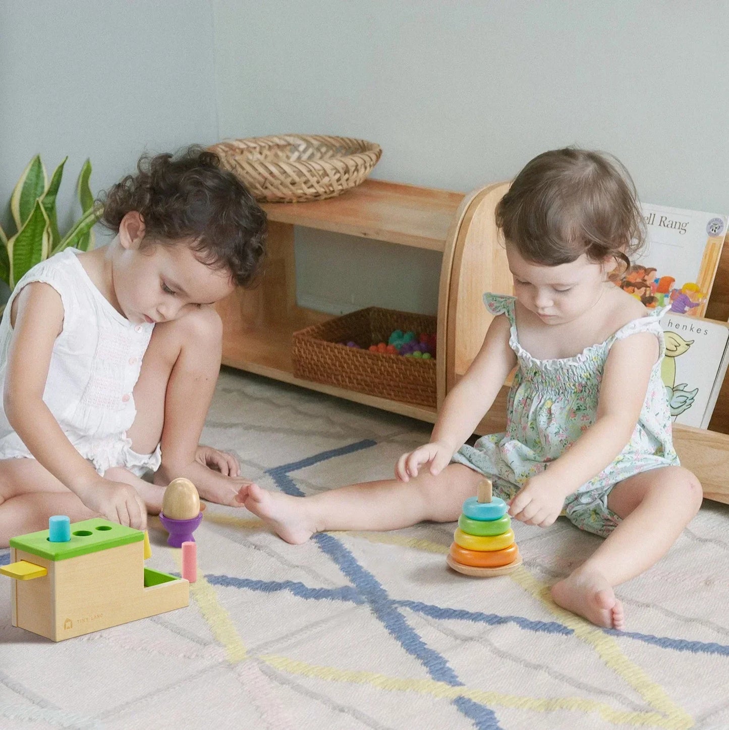 Tiny LandĀ® Montessori Toys Set for Infants (10-12 month)