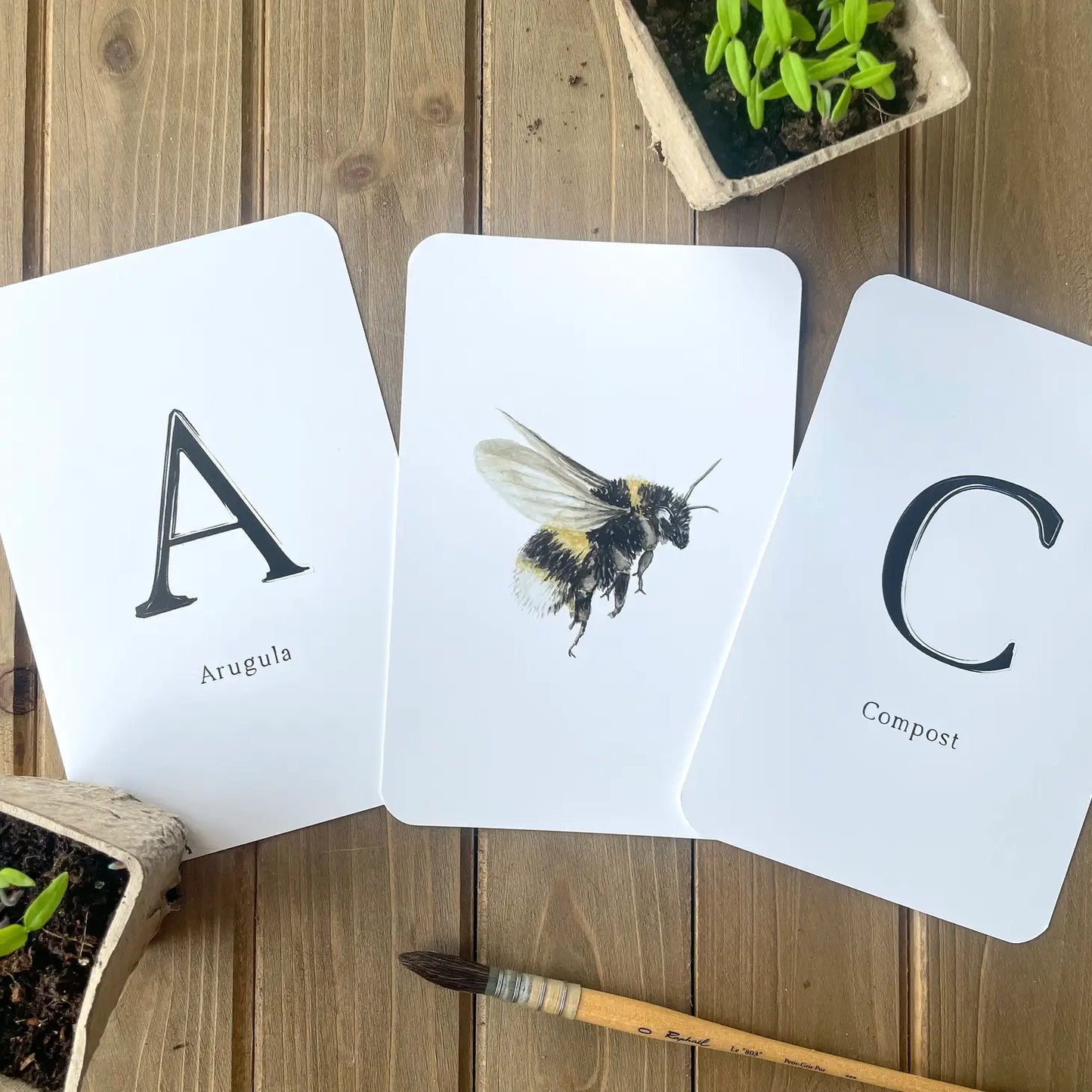 Garden Alphabet Cards