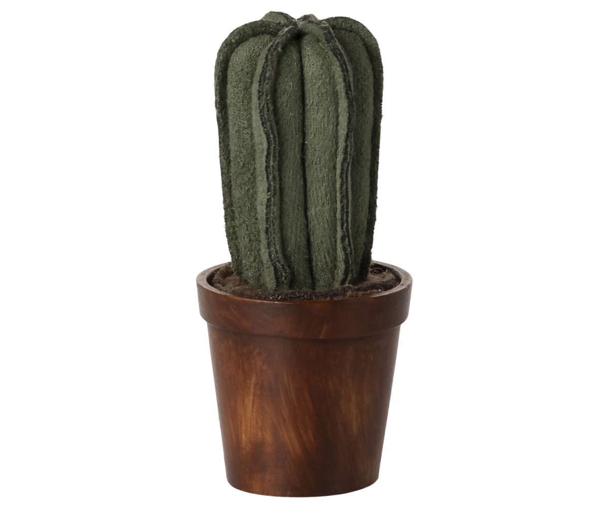 Flower pot with cactus