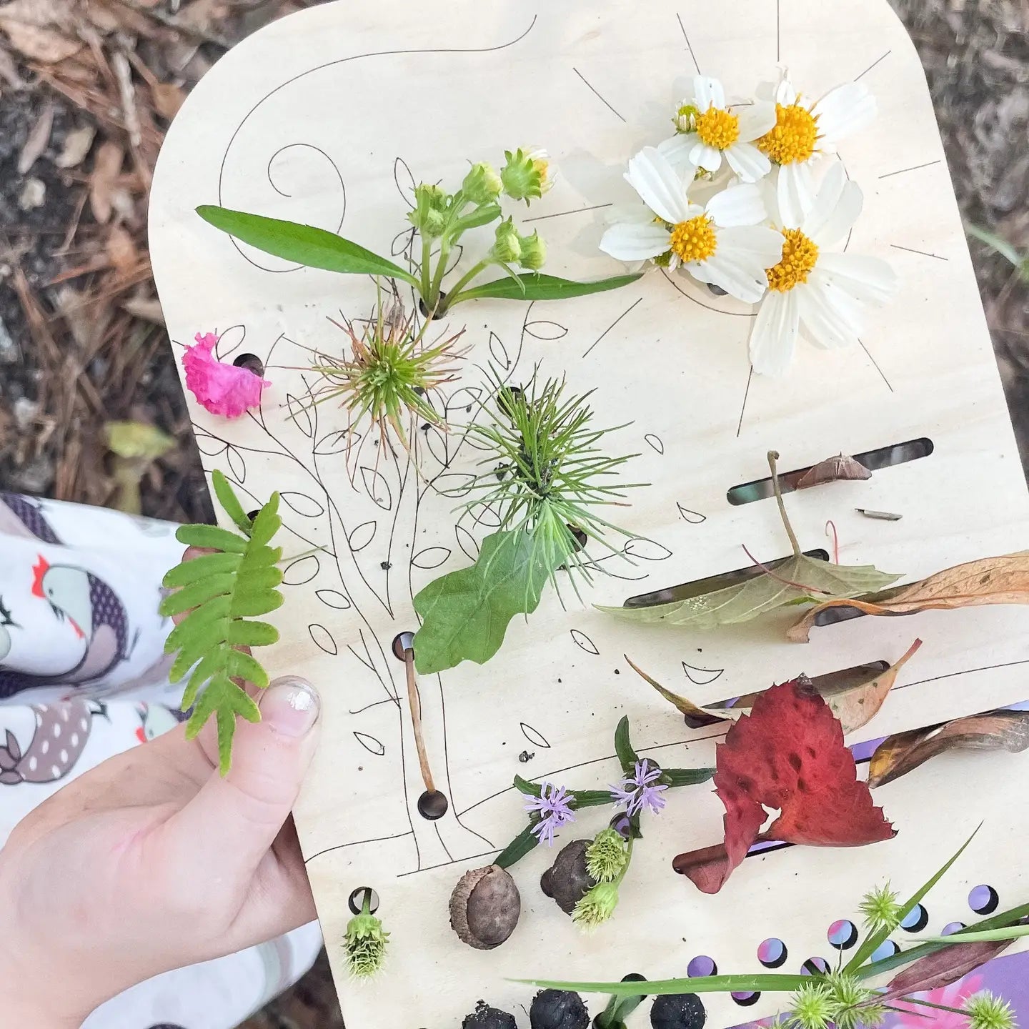 Flower + Leaf Collector Boards