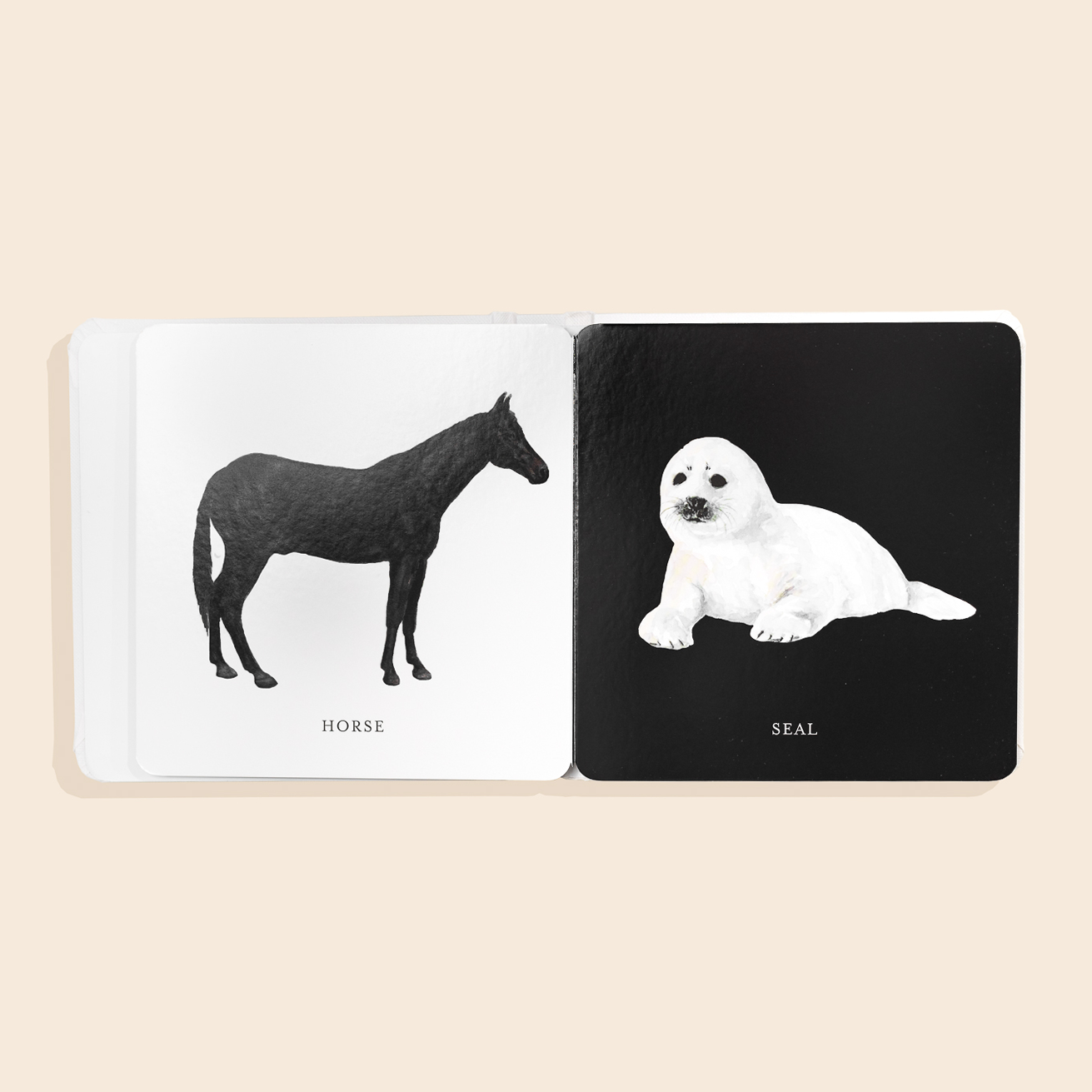 Baby's Black and White Contrast Book