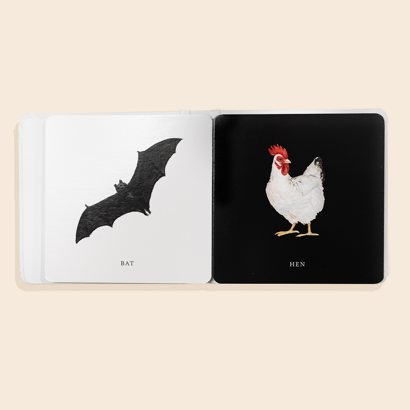 Baby's Black and White Contrast Book