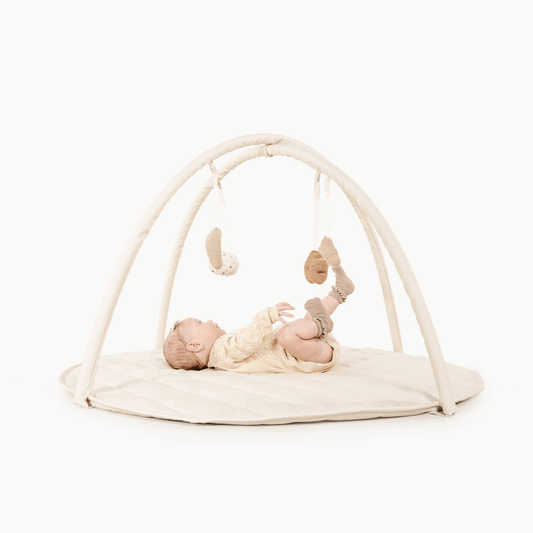 Baby Activity Gym