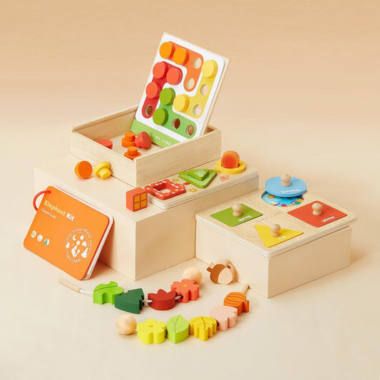 Tiny Land® Montessori Toys for Toddlers (19-24month)